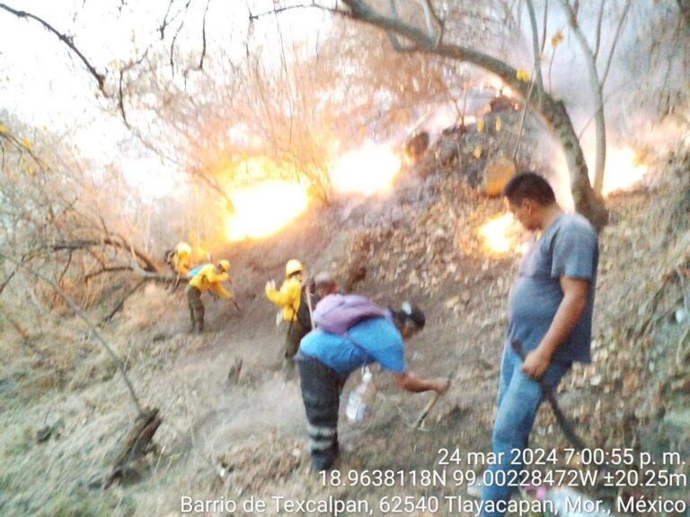 Aumentan los incendios en Morelos; reporta tres en las últimas horas. Noticias en tiempo real